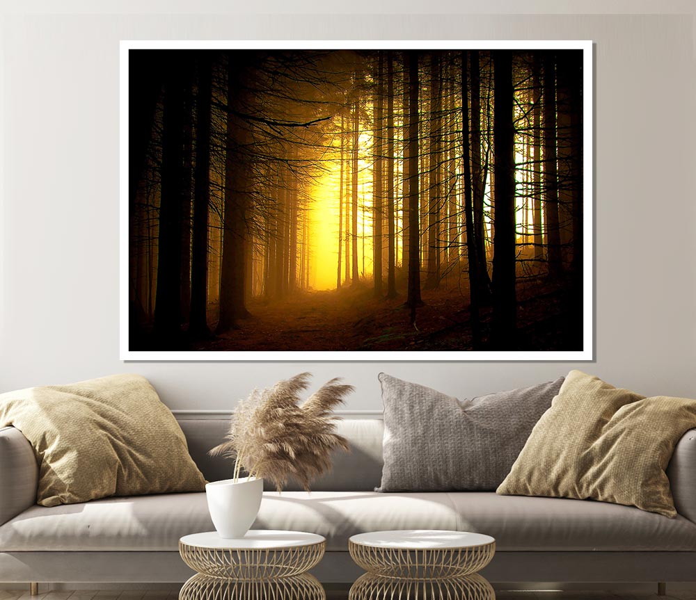 Golden Forest Light Print Poster Wall Art