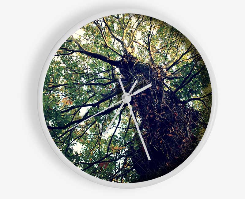 Ancient Forest Tree Clock - Wallart-Direct UK