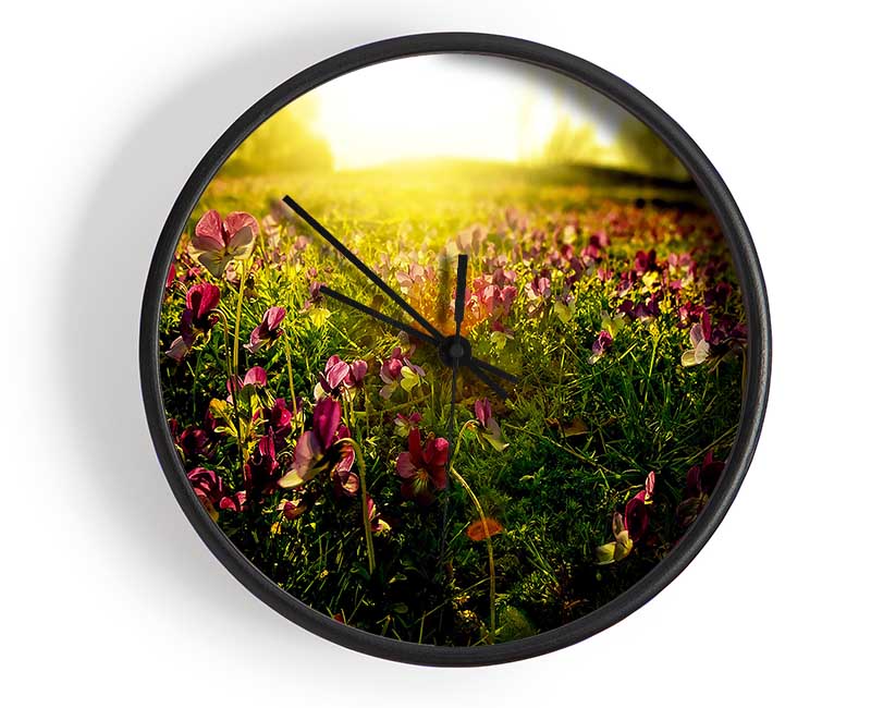 Sunlight Through Pansies Clock - Wallart-Direct UK