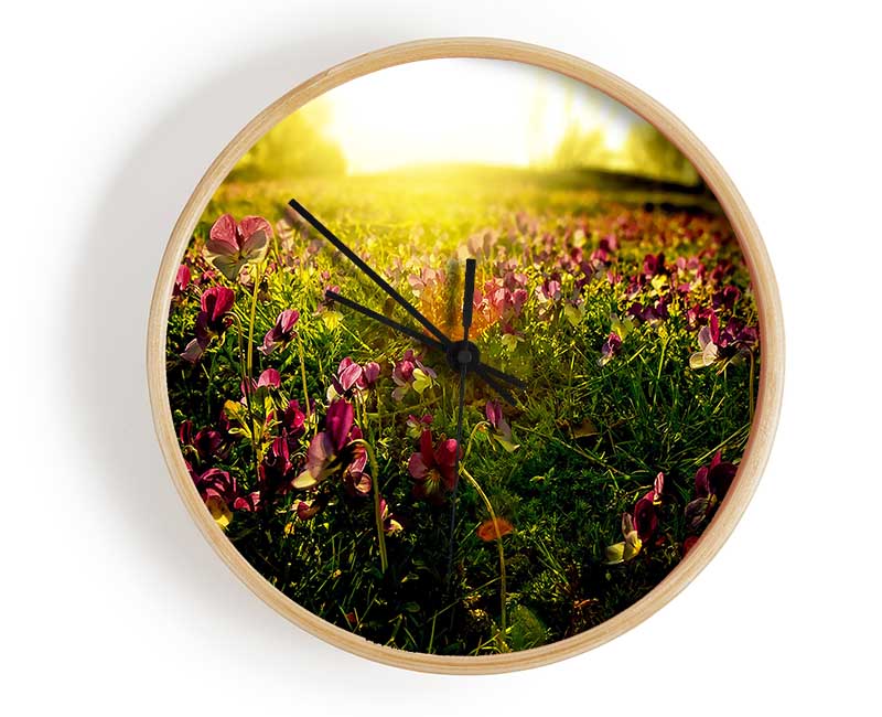 Sunlight Through Pansies Clock - Wallart-Direct UK