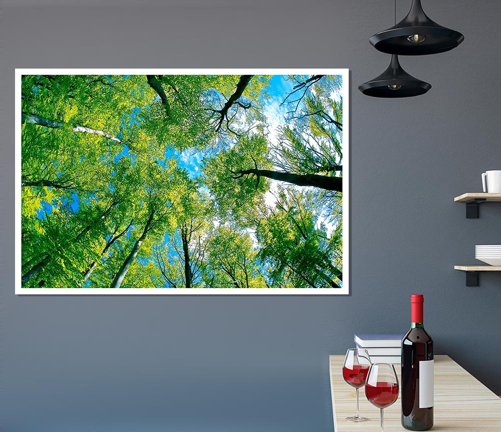 Forest Sky View Print Poster Wall Art