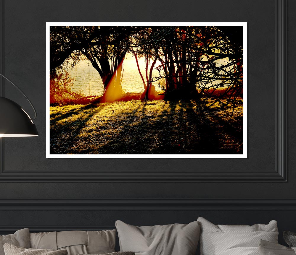 Golden Sunlight Print Poster Wall Art