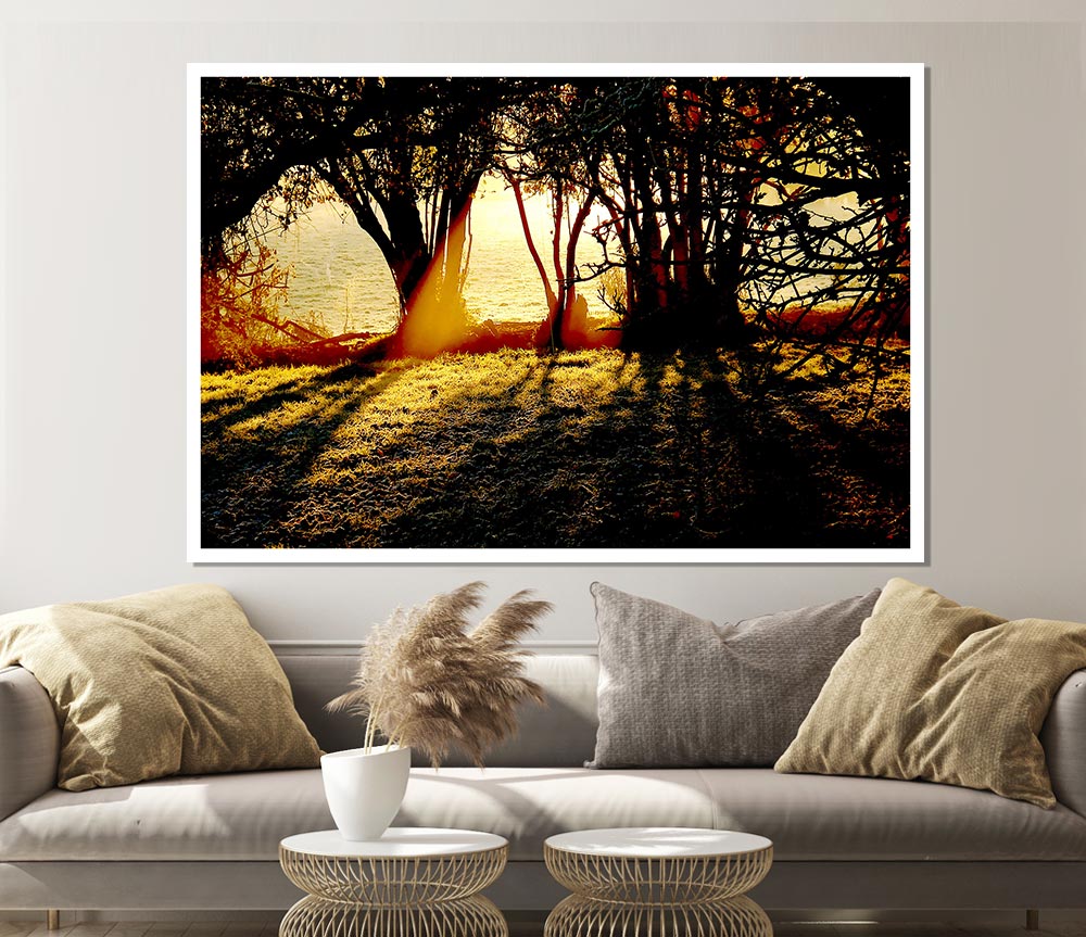 Golden Sunlight Print Poster Wall Art