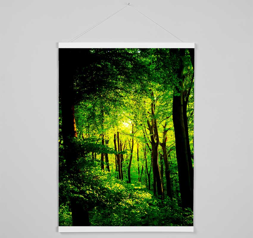 Emerald Forest Walk Hanging Poster - Wallart-Direct UK