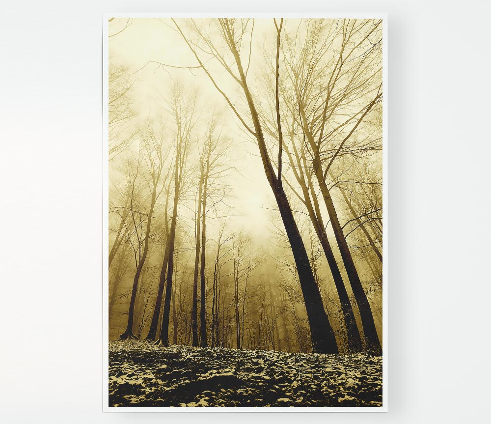 In The Depth Of The Forest Print Poster Wall Art