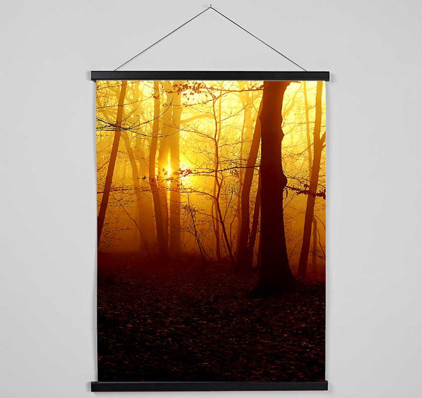 Golden Forest At First Light Hanging Poster - Wallart-Direct UK