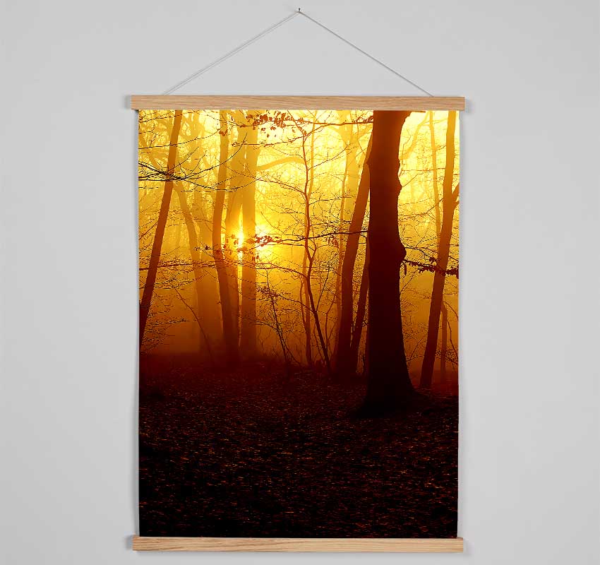 Golden Forest At First Light Hanging Poster - Wallart-Direct UK