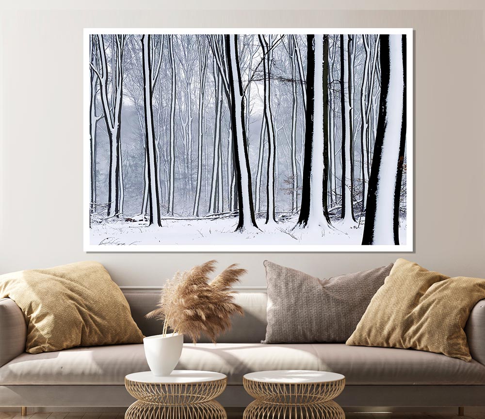 Forest Snow Trees Print Poster Wall Art