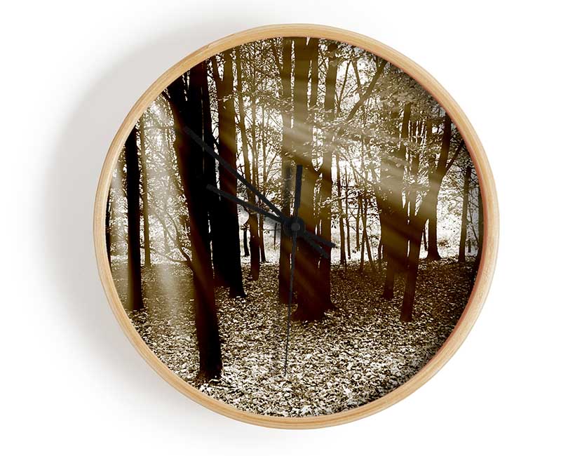 Sun Beams Through The Chocolate Forest Clock - Wallart-Direct UK