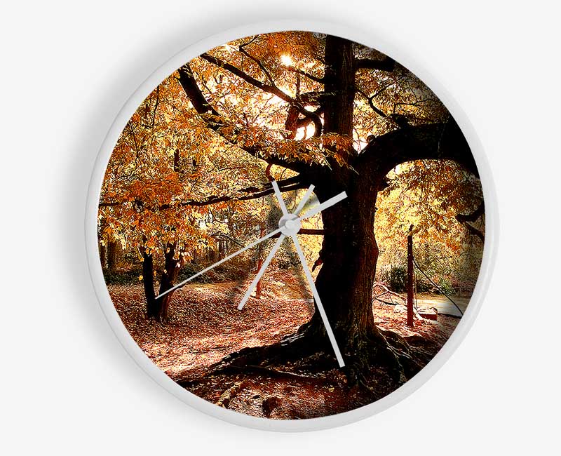 In The Depths Of The Old Forest Clock - Wallart-Direct UK