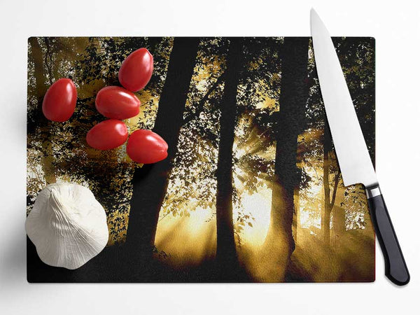 Golden Sun Beam Forest Glass Chopping Board