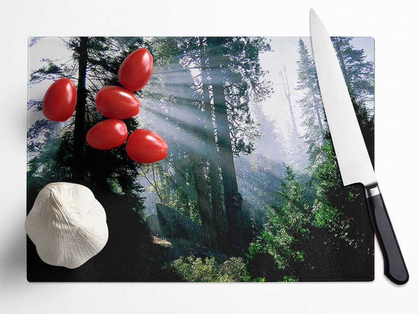 Sunbeams Through The Green Forest Glass Chopping Board