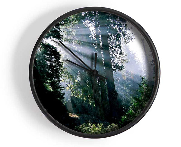 Sunbeams Through The Green Forest Clock - Wallart-Direct UK