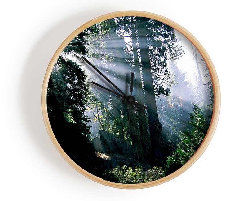 Sunbeams Through The Green Forest Clock - Wallart-Direct UK