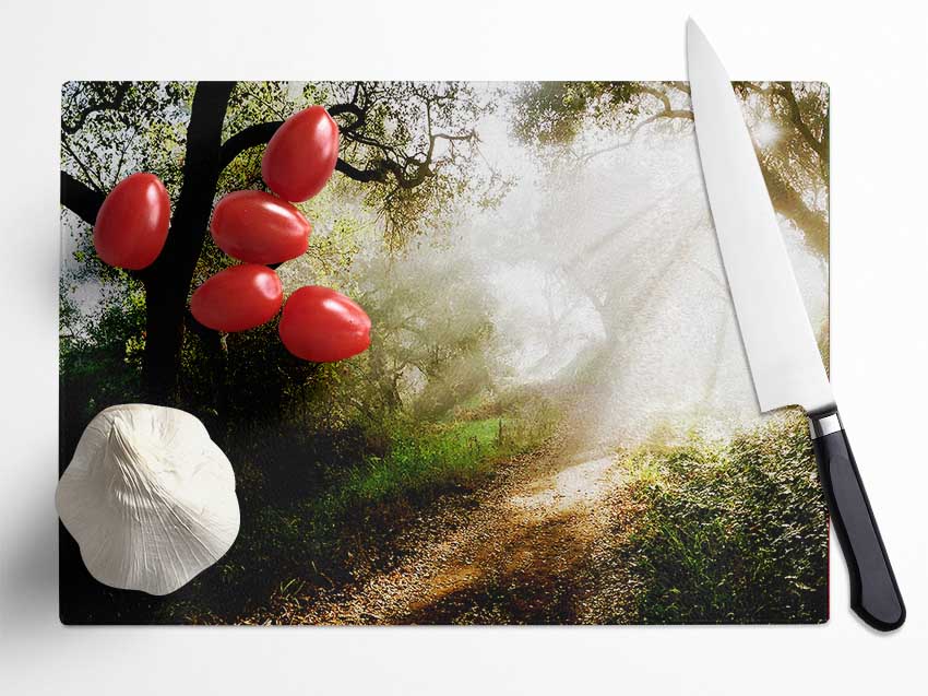 Forest Sunlight Walk Glass Chopping Board