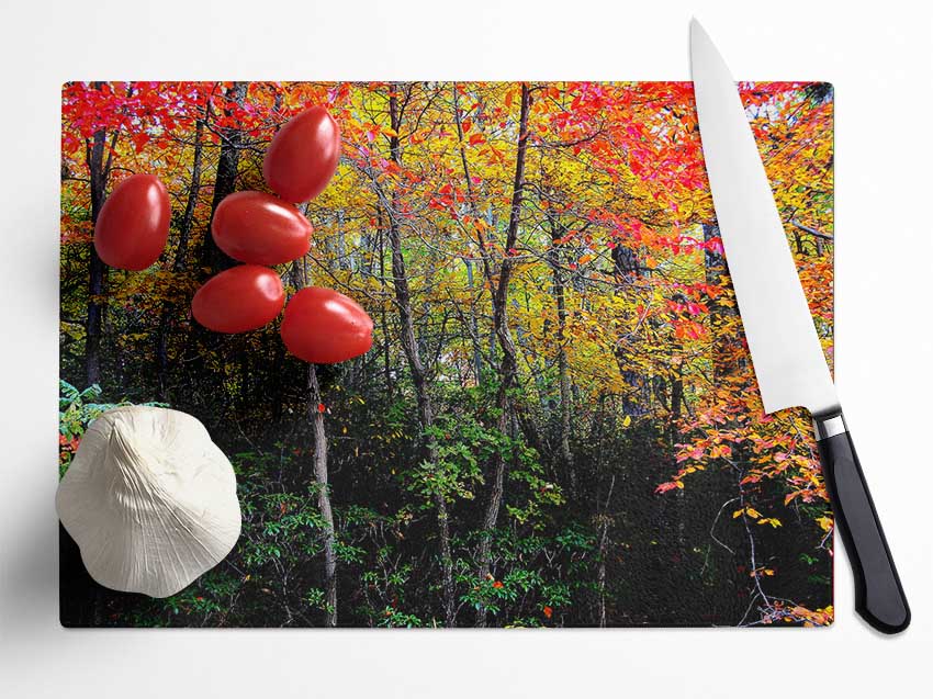 Stunning Colourful Autumn Forest Glass Chopping Board