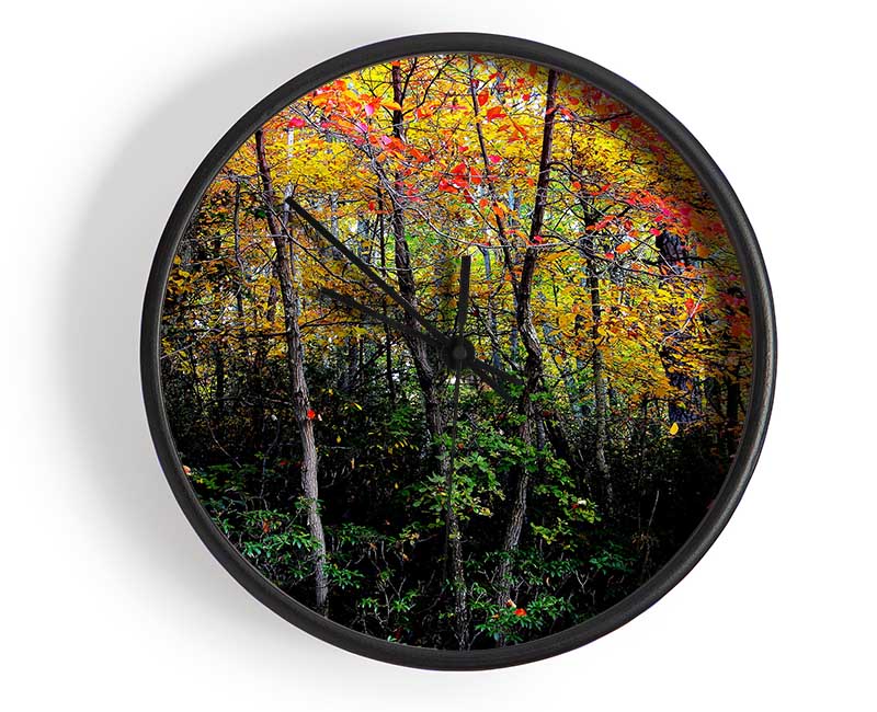 Stunning Colourful Autumn Forest Clock - Wallart-Direct UK