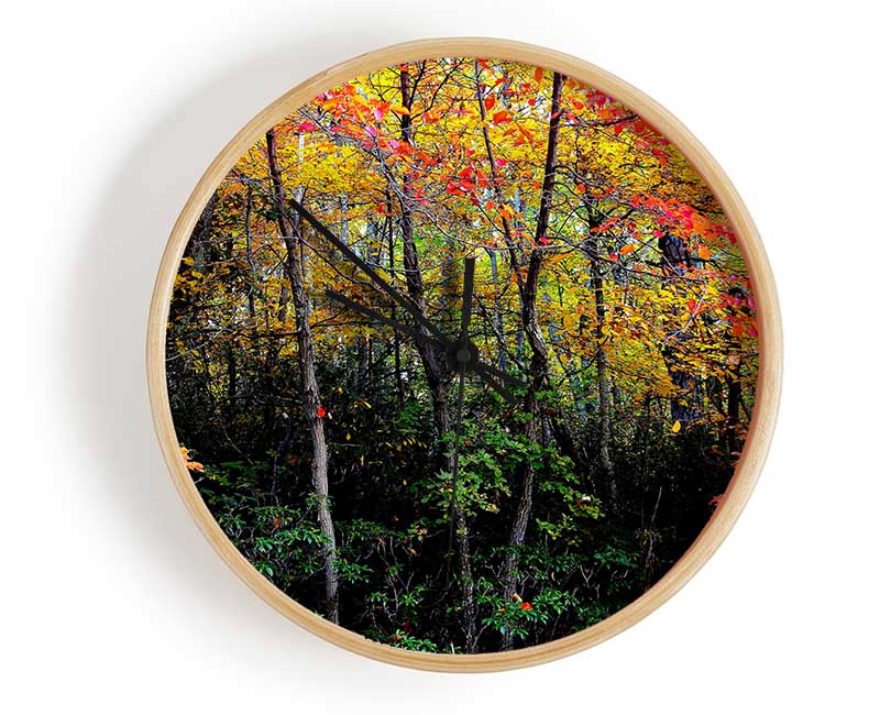 Stunning Colourful Autumn Forest Clock - Wallart-Direct UK