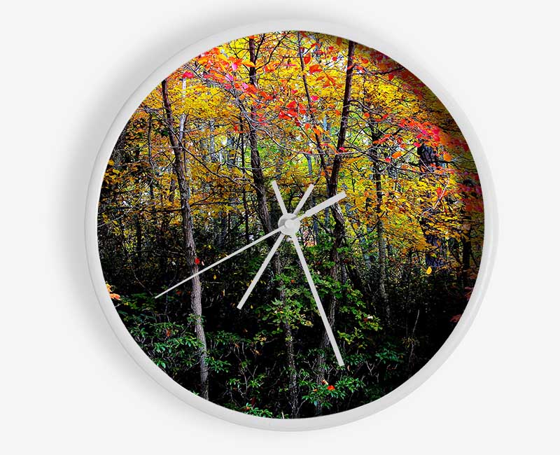 Stunning Colourful Autumn Forest Clock - Wallart-Direct UK