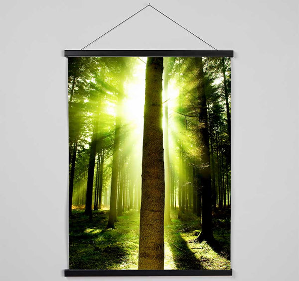 Green Emerald Sunbeam Forest Hanging Poster - Wallart-Direct UK