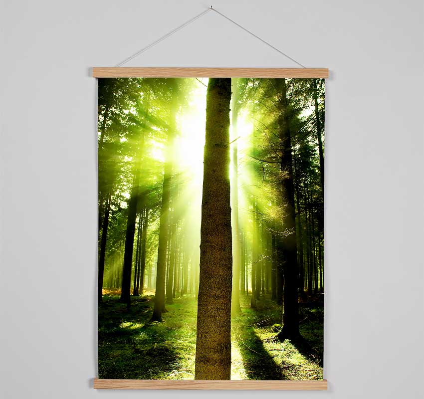 Green Emerald Sunbeam Forest Hanging Poster - Wallart-Direct UK