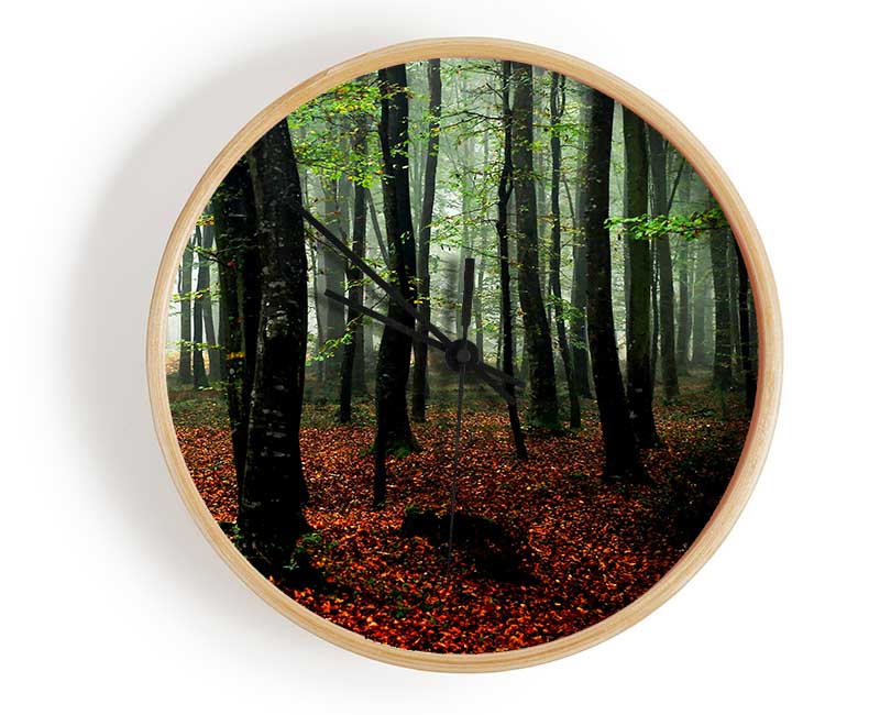 Emerald Forest Hide Away Clock - Wallart-Direct UK