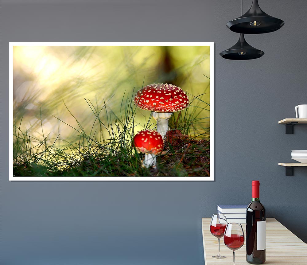 Fly Agaric Mushrooms Print Poster Wall Art