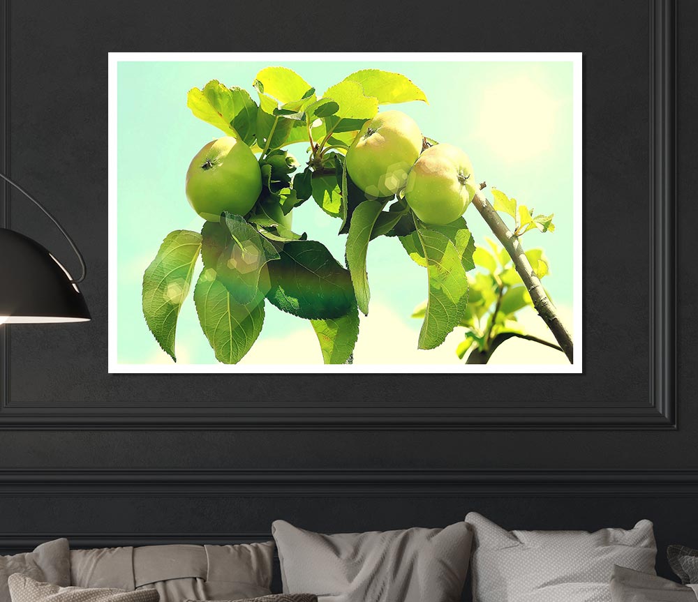 Apple Tree Print Poster Wall Art