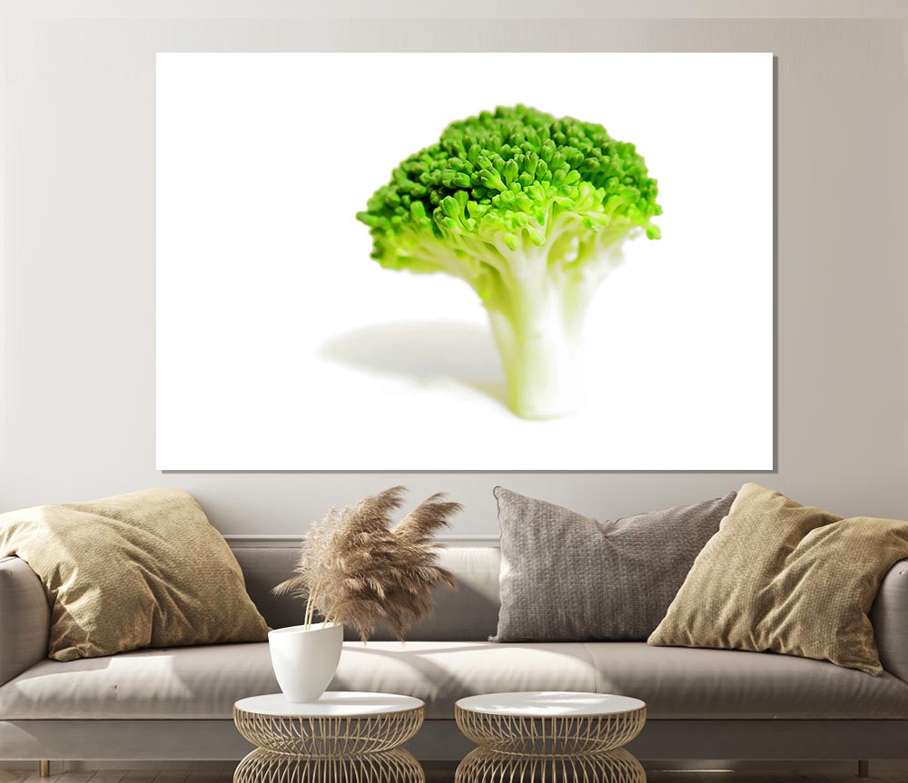 Brocolli Stem Print Poster Wall Art