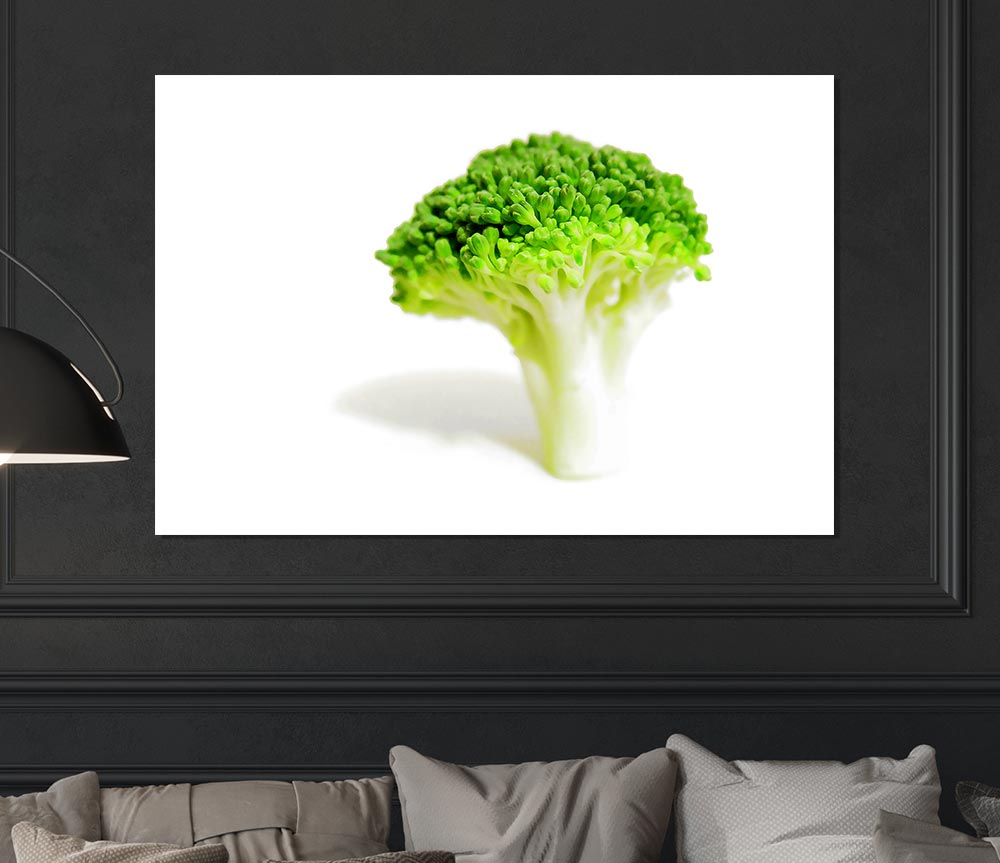 Brocolli Stem Print Poster Wall Art