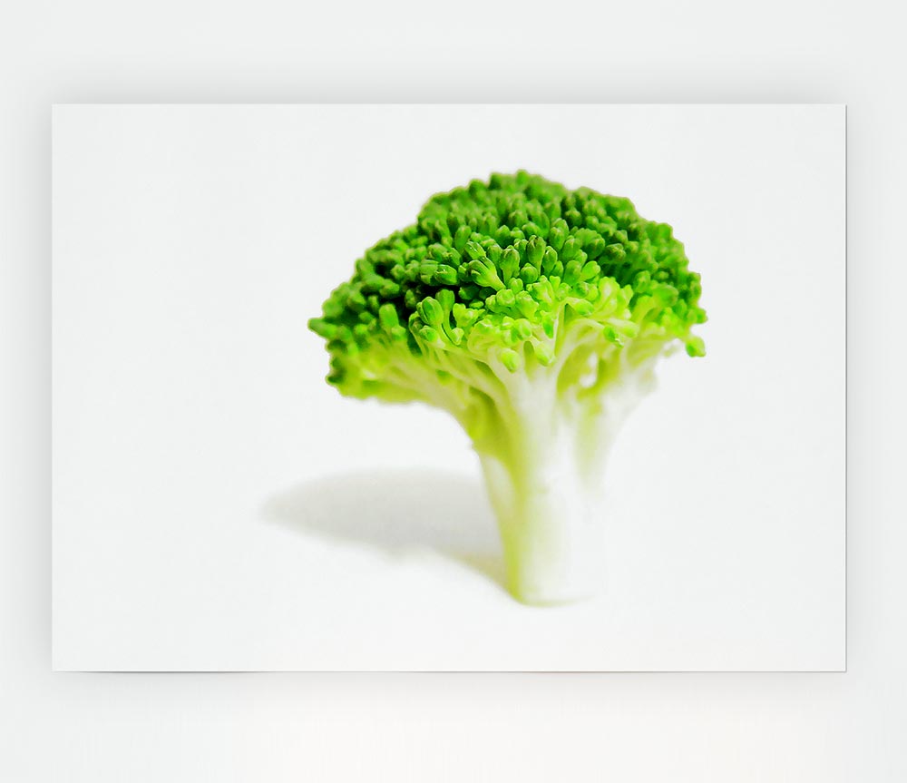 Brocolli Stem Print Poster Wall Art