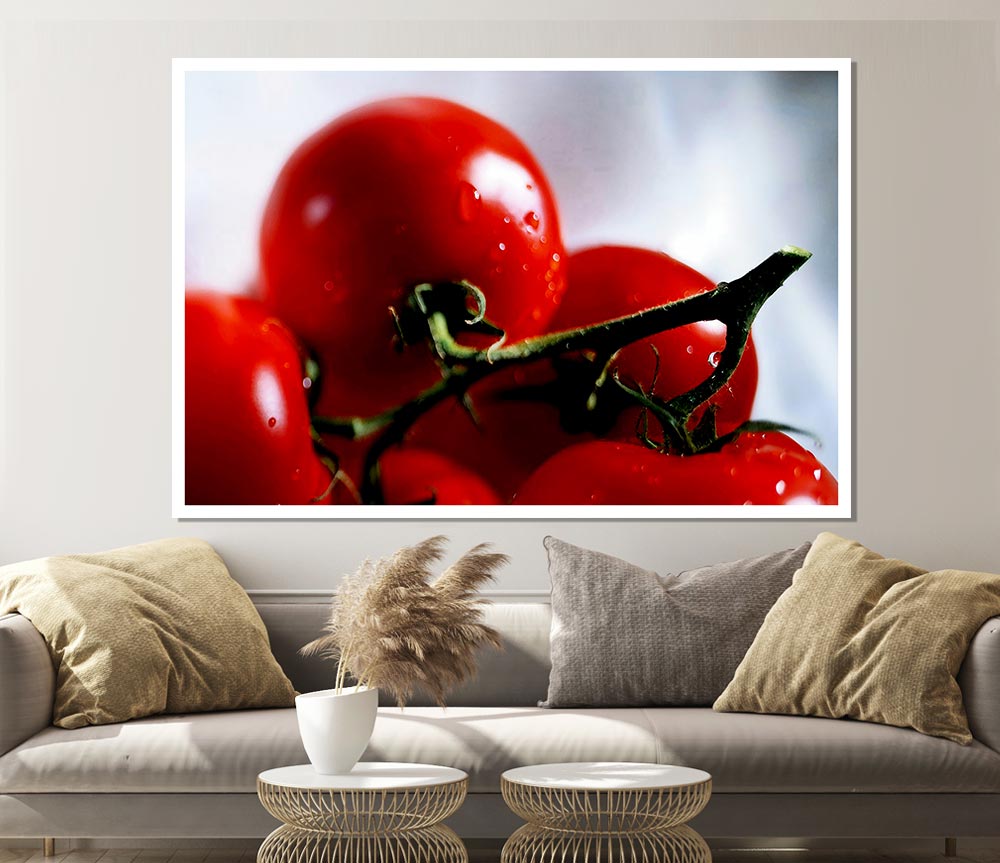 Cherry Tomato Vine Print Poster Wall Art