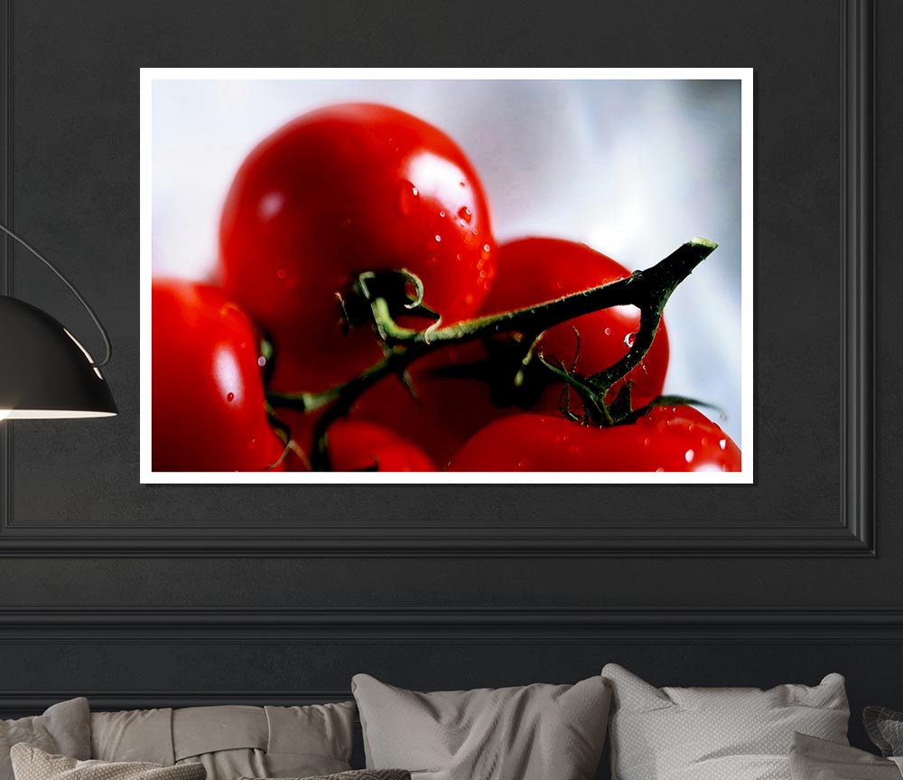 Cherry Tomato Vine Print Poster Wall Art