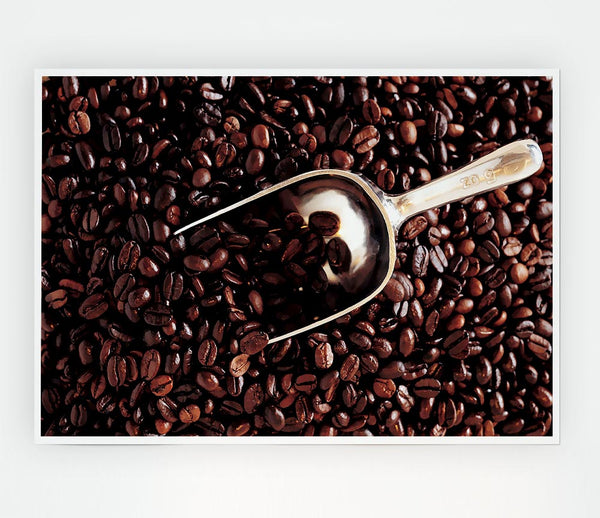 Coffee Bean Scoop Print Poster Wall Art