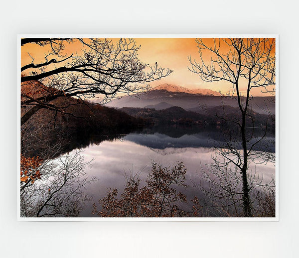 Bare Forest In Autumn Print Poster Wall Art