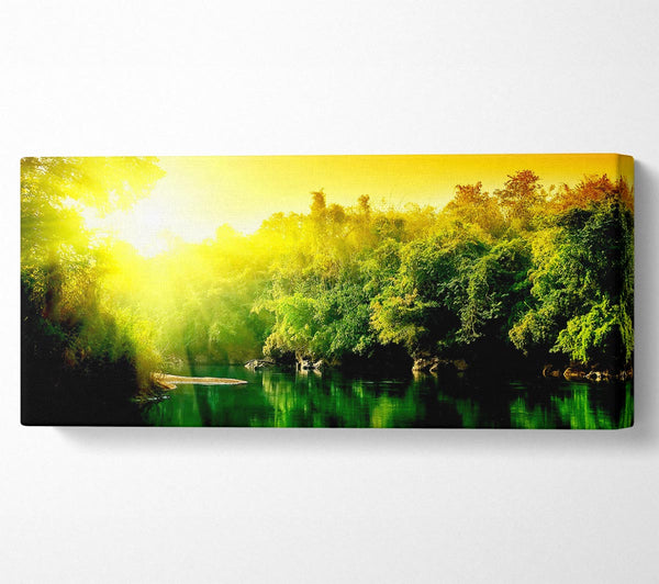 Lush Green Forest River At Sunrise