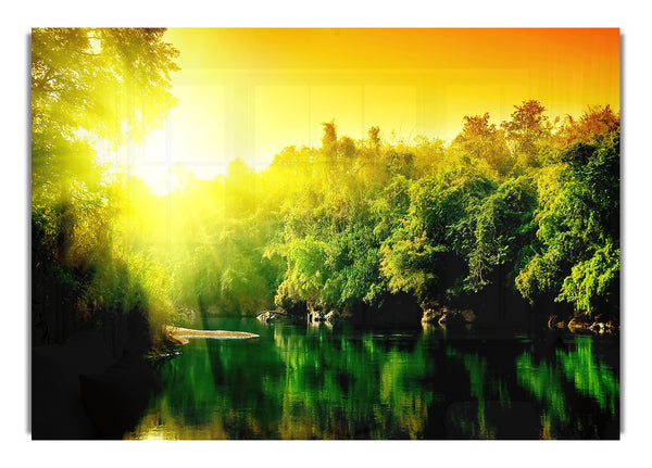 Lush Green Forest River At Sunrise