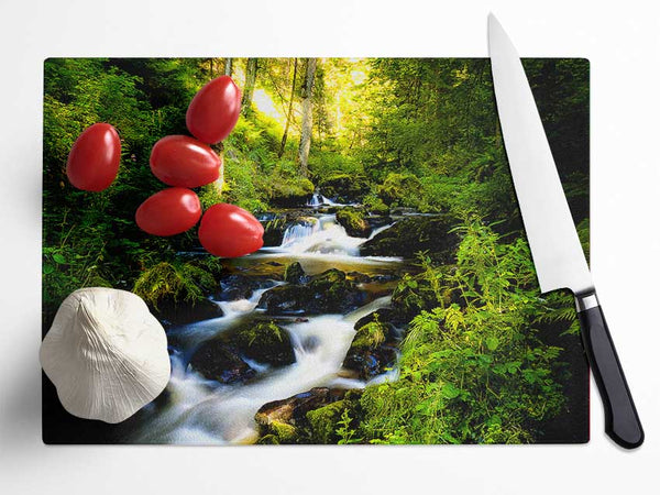 Black Forest In Germany Glass Chopping Board