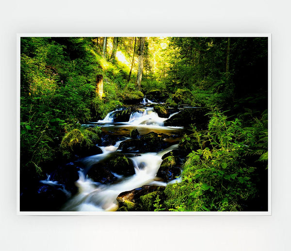 Black Forest In Germany Print Poster Wall Art