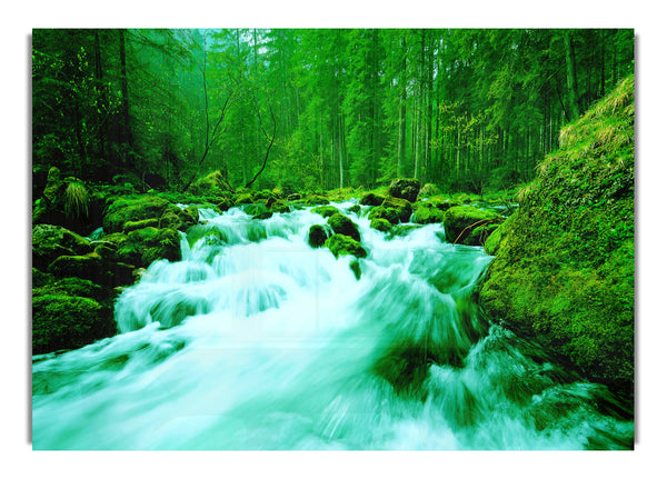 The Green Woodland River