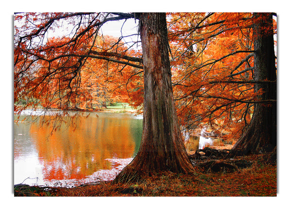 Orange Winter Lake Reflections