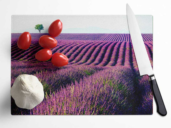 Summer Lavender Fields Glass Chopping Board