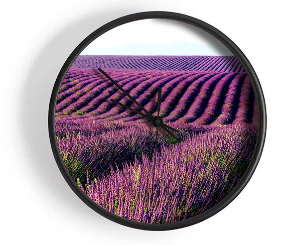 Summer Lavender Fields Clock - Wallart-Direct UK