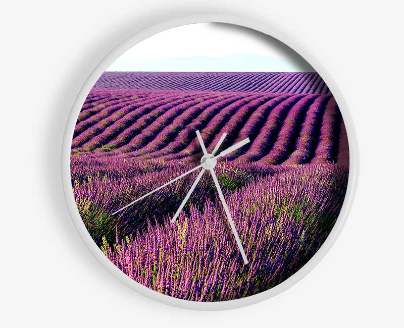 Summer Lavender Fields Clock - Wallart-Direct UK