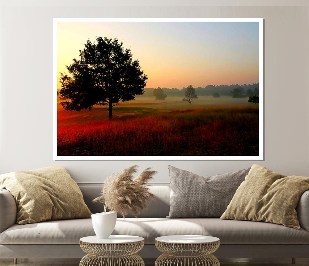 Autumn Sunrise Tree In The Mist Print Poster Wall Art