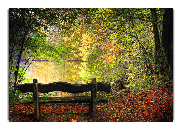 Empty Bench In Fall Scene