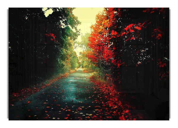 Red Trees 2