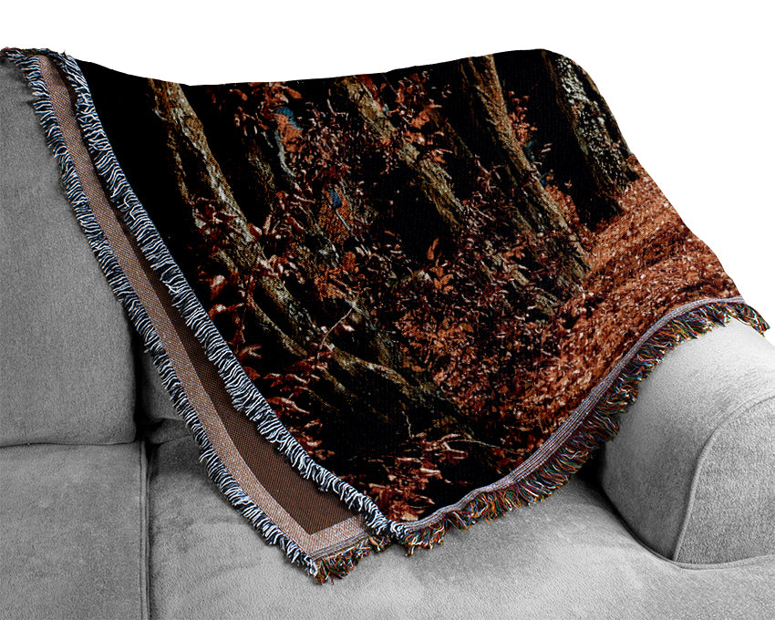 Beautiful Path Woven Blanket