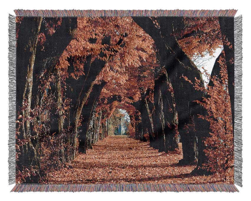 Beautiful Path Woven Blanket