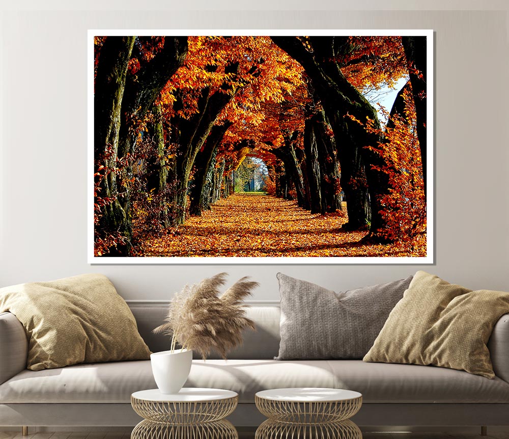 Beautiful Path Print Poster Wall Art